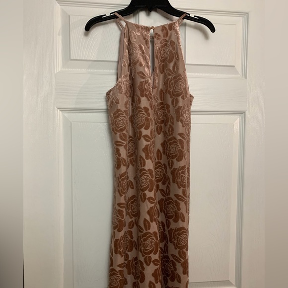 CHAMPAGNE ROSE A-LINE DRESS WITH RAISED VELOUR FLORAL PRINT - Picture 2 of 3